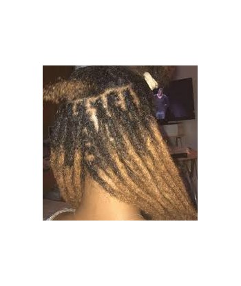 Pose Extension des Dreadlocks votre