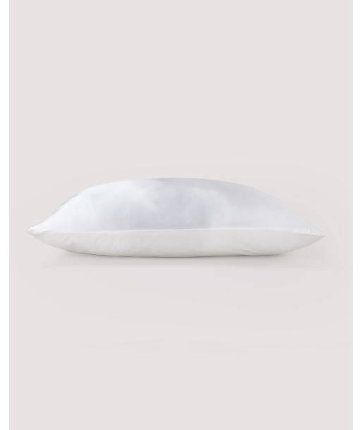 Silk Dream Pillow Case online