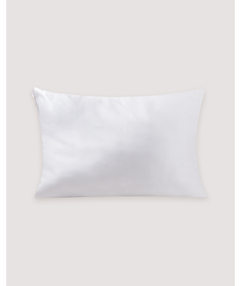 Silk Dream Pillow Case online